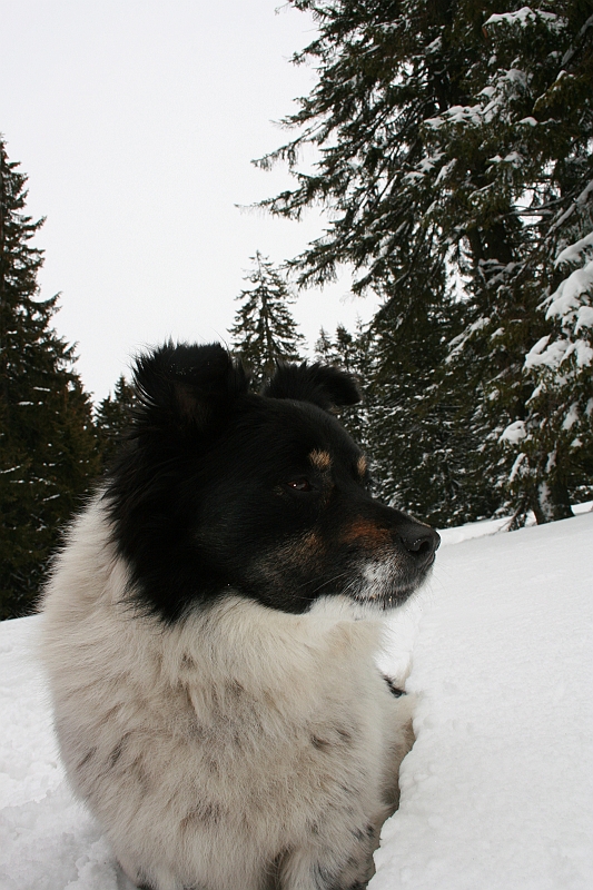 Turbacz 22.03.08 079